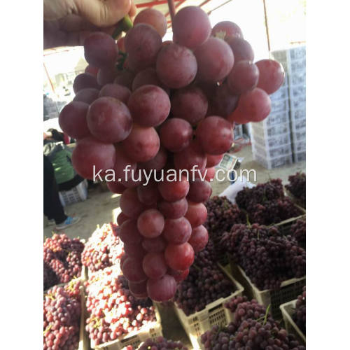 Yunnan წითელი ყურძენი მზად არის ექსპორტზე